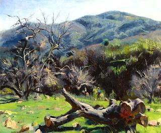 From Ojai