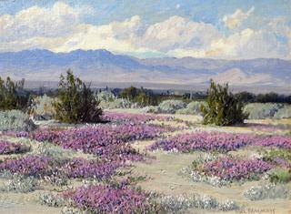 Verbenas, Palm Springs, California