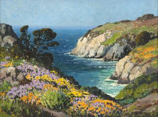 Blooming wildflowers along the Carmel coast