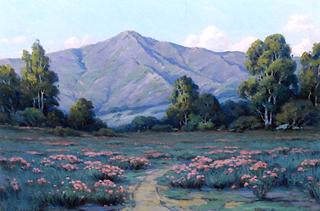 A Field of Blooming Phlox