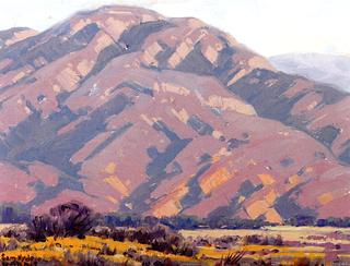 Sunlit Foothills