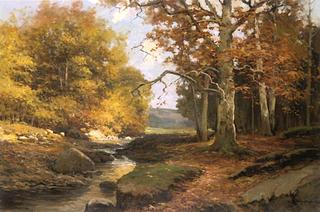 Sycamores