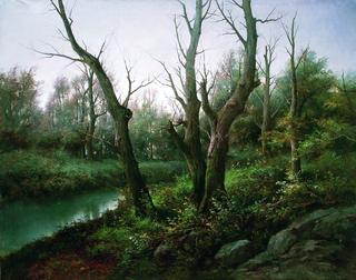 Trees by the River