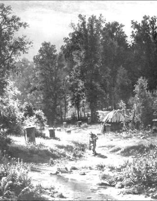 Bee-garden in a forest