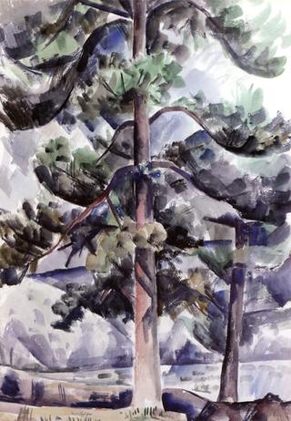 Tree Study