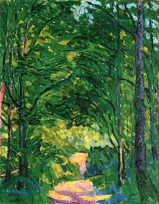 Forest Path