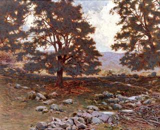 The Rocky Grove, Cornish