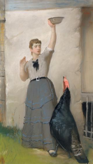 Feeding the Turkey