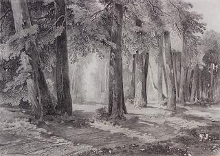 In the Park