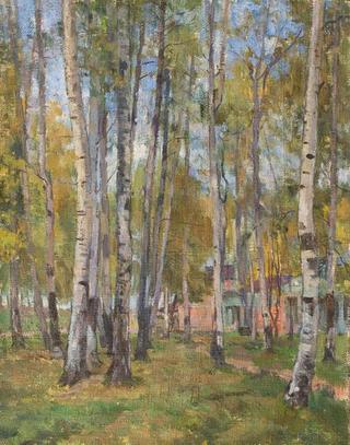 Birches