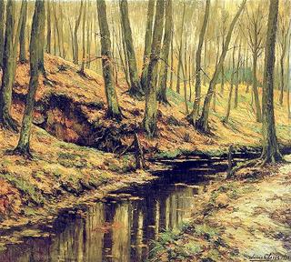 Soignes Forest