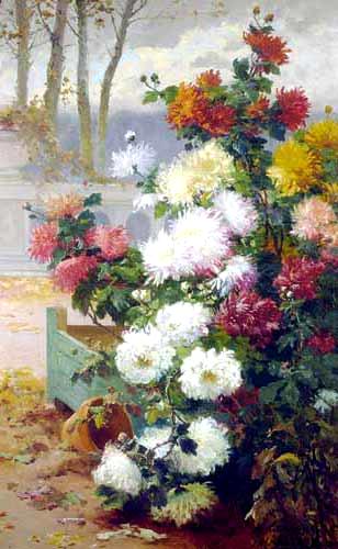 Chrysanthemums