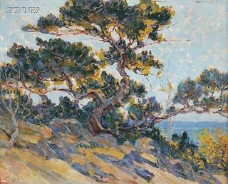 Windswept Cypress