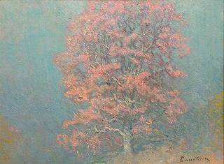 Blue Moor Oak