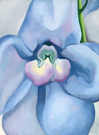 Blue Flowers