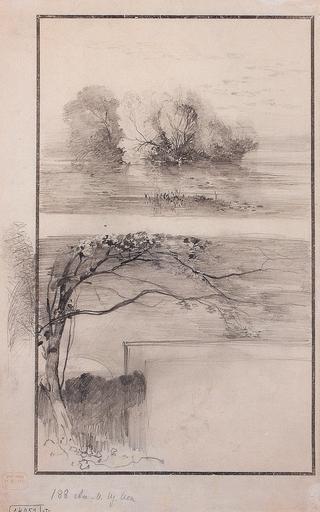 Trees by the Water's Edge