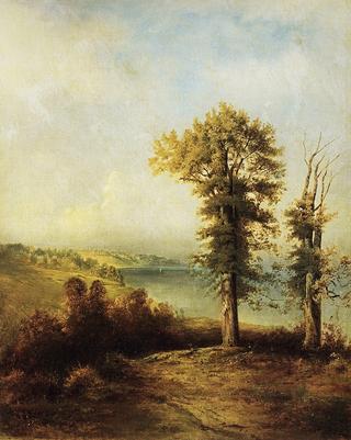 Oaks