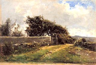 Paisaje