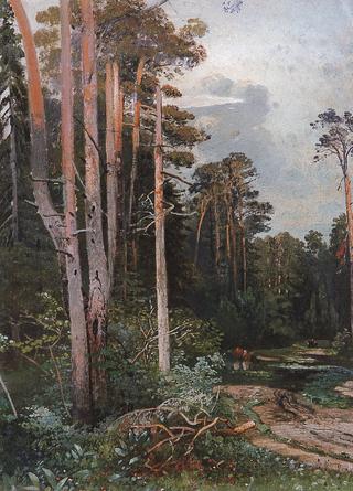 Forest Path