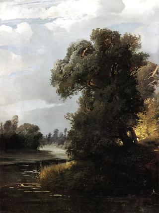 Summer Day