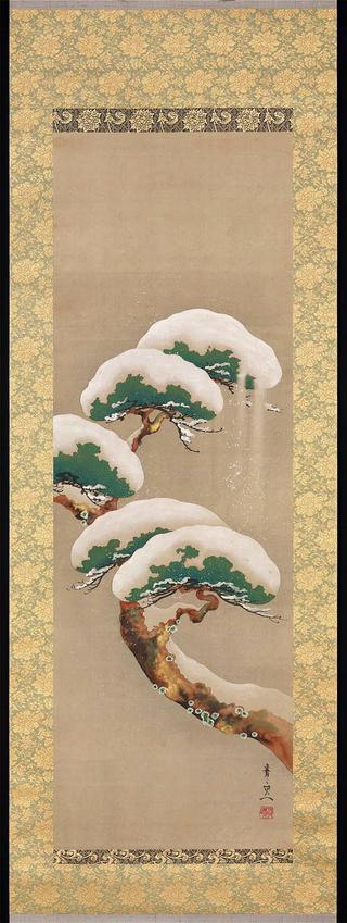Pine Trees and Snow
