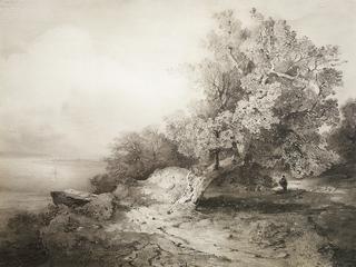 An Old Oak