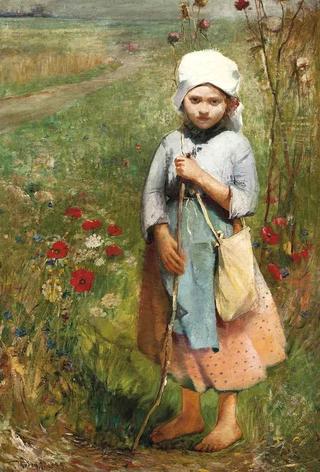 A Summer Stroll