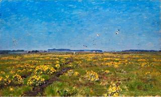 Landscape with yellow marsh daisies and soaring birds