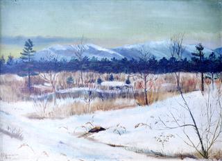 Winter Landscape