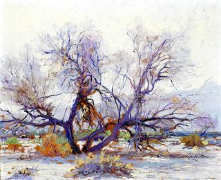Arroyo Trees