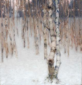 Birch Trees