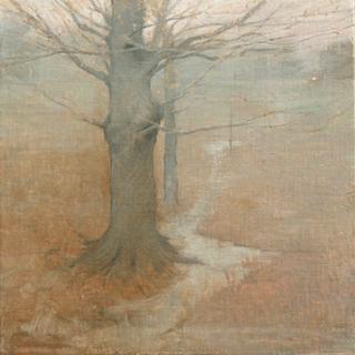 Foggy Meadow, Winter