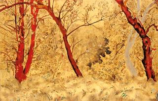 Paysage de sous bois.