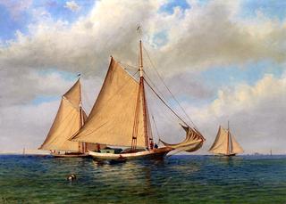 Three Gaff Rigged Sloops in a Bay