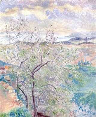 Almond Tree at Averne, Bormes