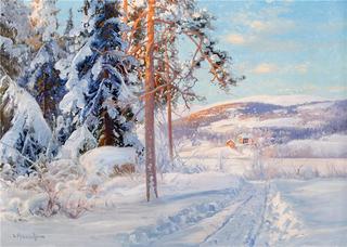 Snowy Landscape