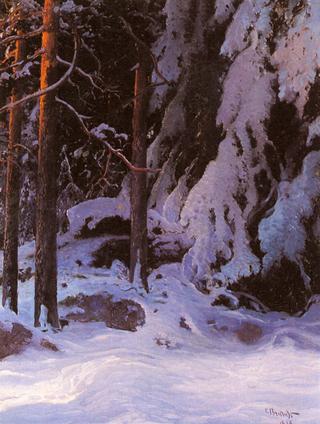 A snow covered forest
