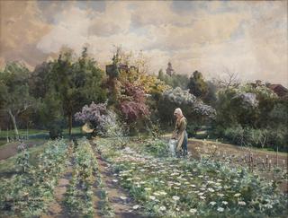 Flower Field at Visby