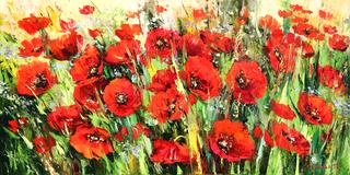Poppies