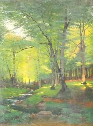 Forest in Björnekulla