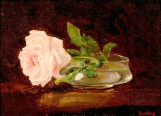 Still Life with a Rose