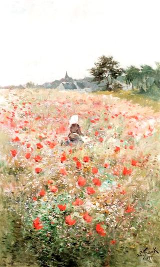Poppy Field