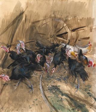 Turkeys