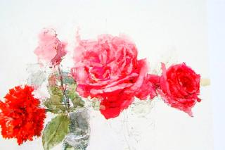 Roses