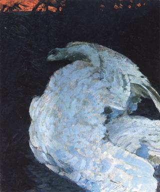 The Swan