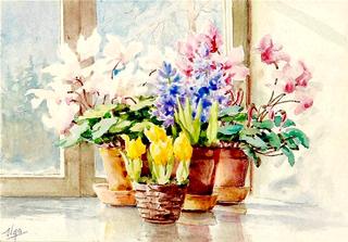 Flowers in a window sill