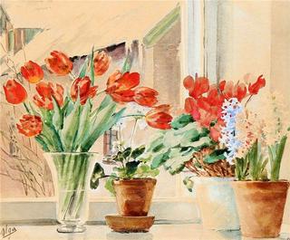 Flowers in a window sill