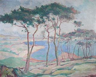 Coastal Scene