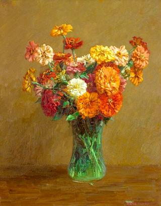 Zinnias