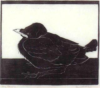 The Jackdaw